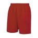Polyester Shorts