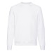 Raglan Sweatshirt