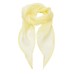 Chiffong Scarf