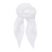 Chiffong Scarf